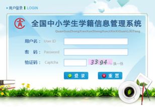 全國中小學生學籍管理系統 信息系統運行維護服務的關鍵角色與實踐路徑